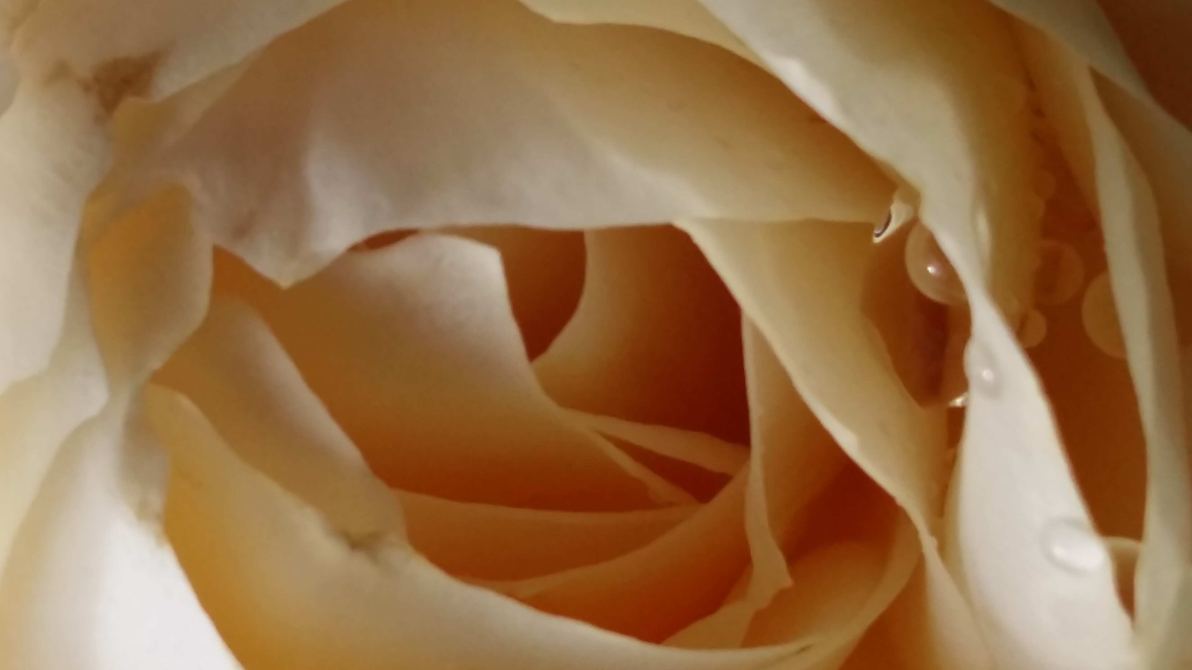 Sinnlich, entspannende, achtsame Tantramassage für die Frau.