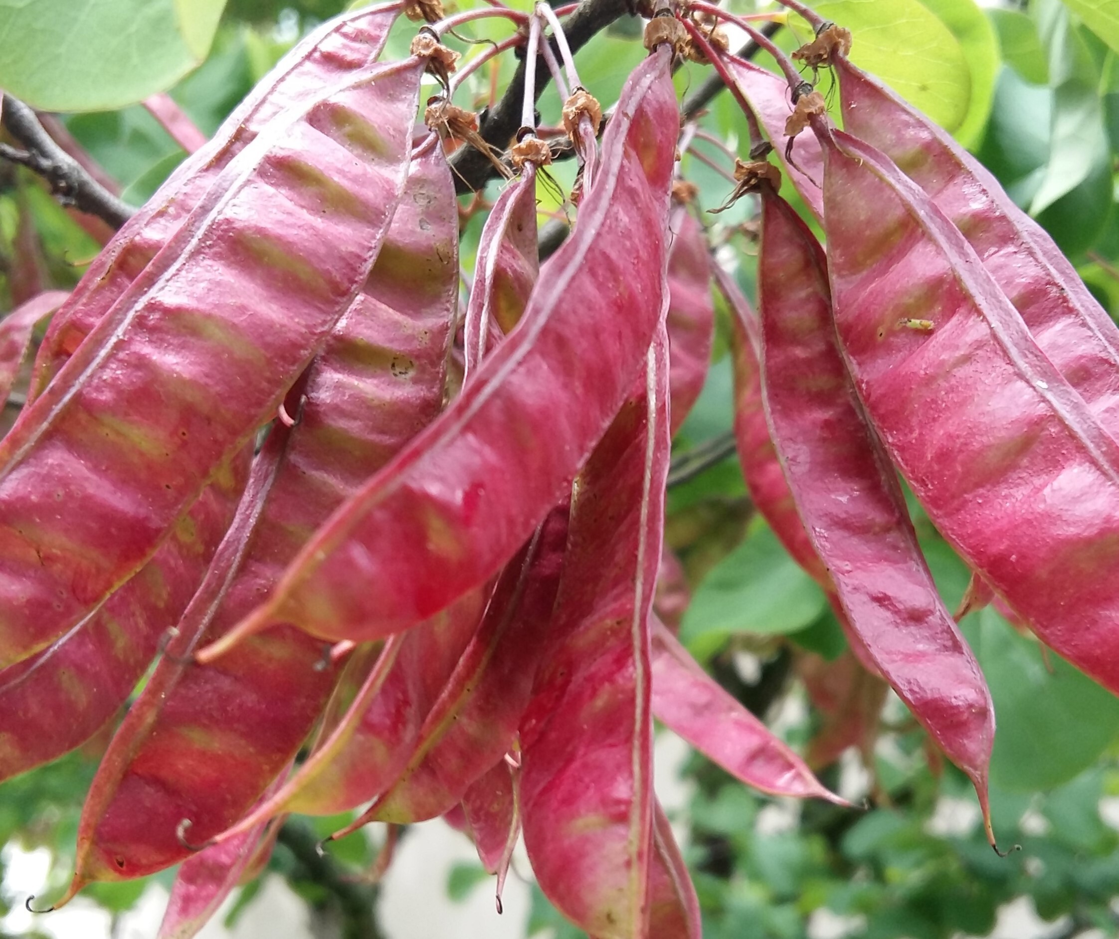 Sinnlich, entspannende, achtsame Tantramassage für den Mann.