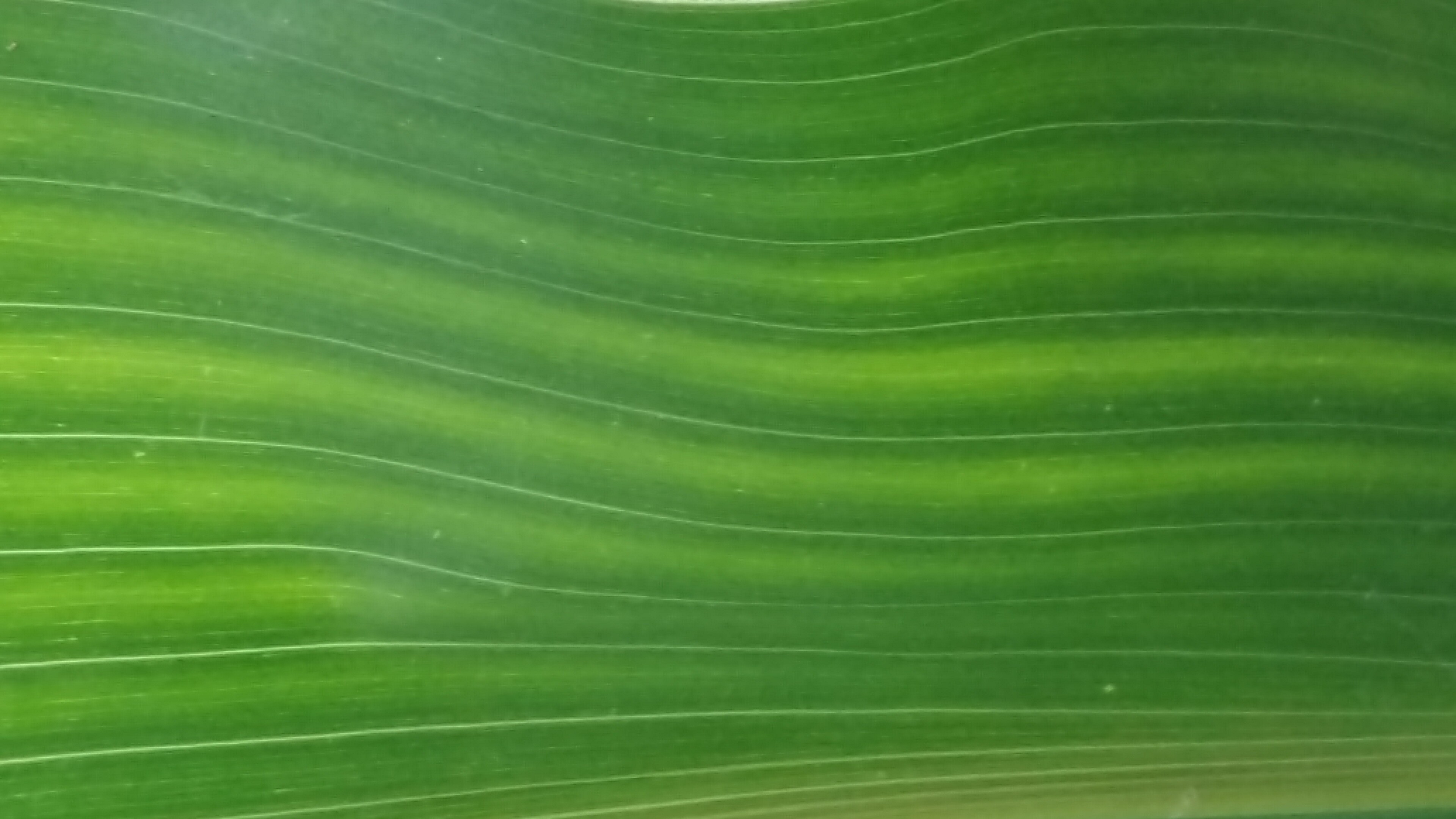 Sinnlich, entspannende, achtsame Tantramassage nach deinen Bedürfnissen.